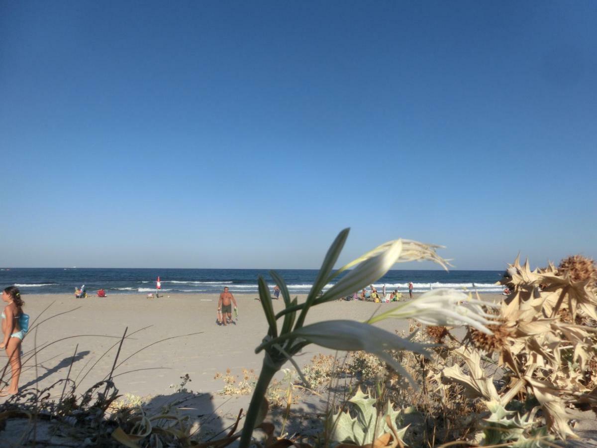 Tertenìa La Costa Est Villa Con Vista Mare In Ogliastra Sardegna מראה חיצוני תמונה